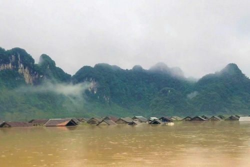 Ký ức mùa lũ