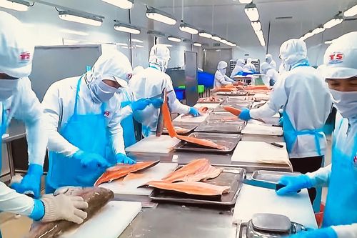 Doanh nghiệp Việt cần thay đổi để tồn tại trong chuỗi cung ứng vào thị trường EU