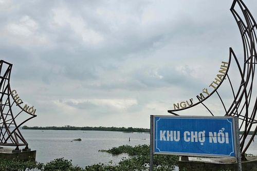 Chợ nổi Ngư Mỹ Thạnh bị lục bình 'bủa vây' sau bão số 12