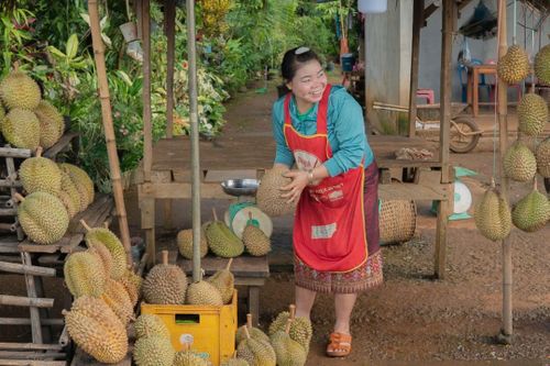 'Đối thủ' mới của sầu riêng Việt Nam, Thái Lan tại Trung Quốc