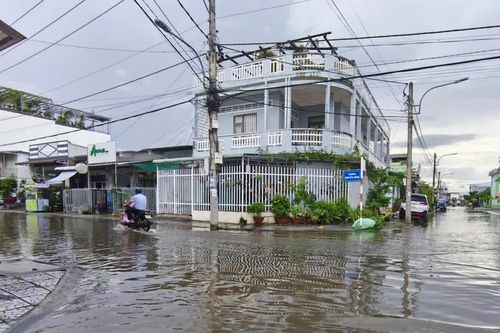 Cà Mau: triều cường kéo dài nhiều ngày gây ngập diện rộng bất thường