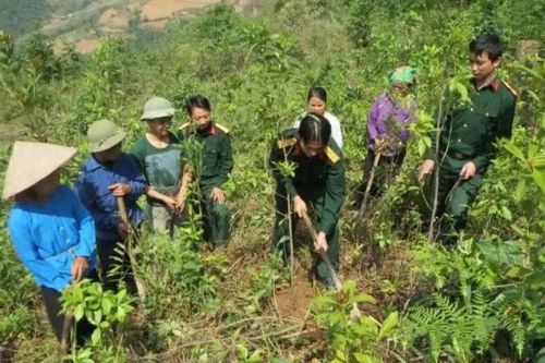 Cao Bằng: khai thác tiềm năng rừng để phát triển hài hòa, bền vững