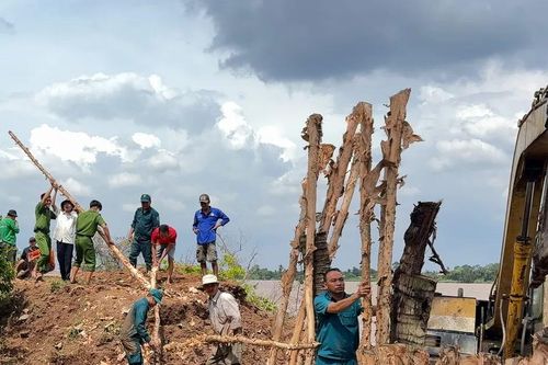 Vĩnh Long: Khắc phục sự cố vỡ đê tại cồn Thanh Long