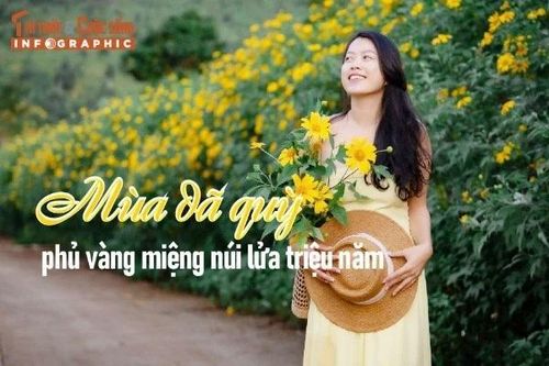 [INFOGRAPHIC] Mùa dã quỳ phủ vàng miệng núi lửa triệu năm