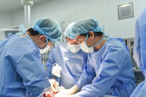 Bản đồ ghép tạng Việt Nam có thêm 'trạm trung chuyển sự sống' ở phía Nam