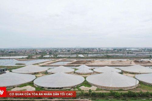 Thanh Hóa: Chỉ đạo xử lý dứt điểm tình trạng nuôi tôm trái phép
