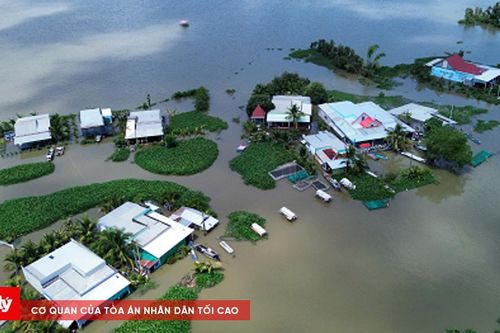 Vùng Đồng Tháp Mười chìm trong biển nước