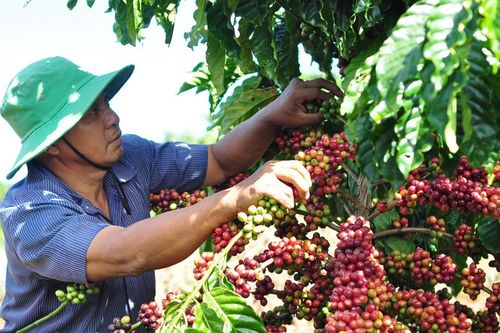'Kiệt sức' vì bị nghẽn dòng tiền, DN kiến nghị cơ chế hoàn thuế tự động