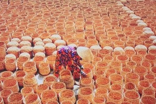 Khoảnh khắc xanh lay động trái tim