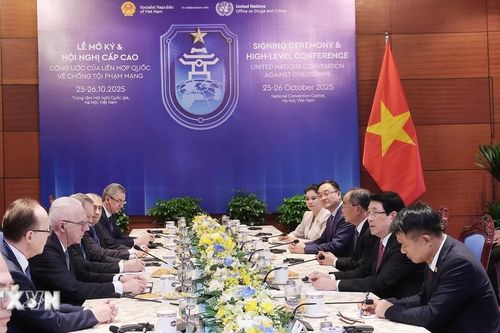 Việt Nam coi Nga là một trong những ưu tiên quan trọng hàng đầu