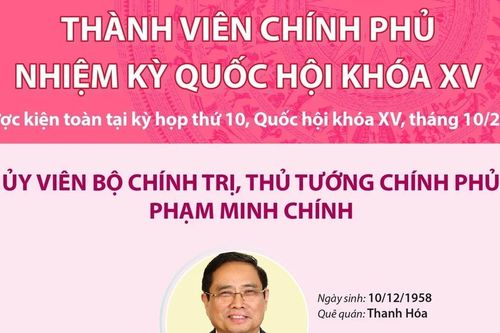 Thành viên Chính phủ nhiệm kỳ Quốc hội khóa XV