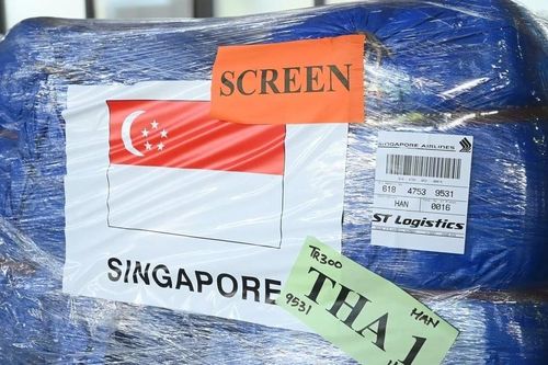 Tiếp nhận hàng viện trợ khẩn cấp của Singapore cho người dân vùng thiên tai