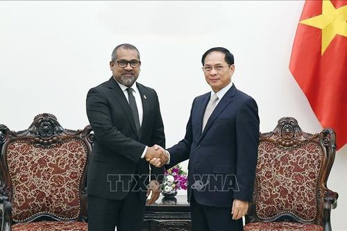 Phó Thủ tướng Bùi Thanh Sơn tiếp Bộ trưởng Ngoại giao Maldives