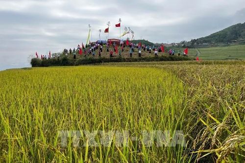 Khám phá nét độc đáo Lễ hội Ruộng bậc thang Miền Đồi