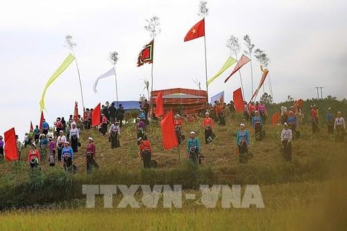 Ngợp sắc vàng Lễ hội Ruộng bậc thang Miền Đồi