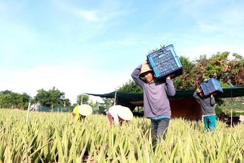 GC Food lãi quý III tăng 38%, hoàn thành 88% kế hoạch lợi nhuận năm