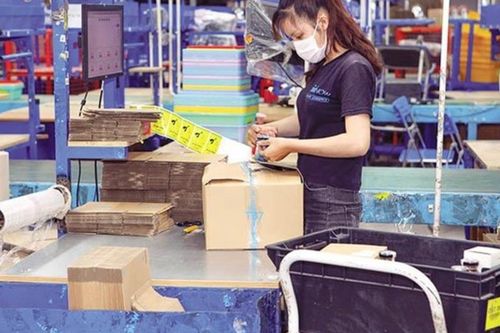 Trang bị kỹ năng số, mở lối ra 'cửa hàng toàn cầu' cho thanh niên