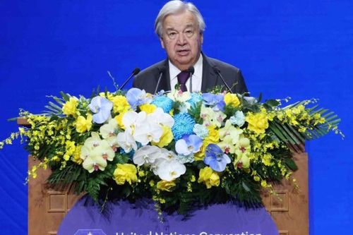 Liên hợp quốc kêu gọi hành động toàn cầu chống tội phạm mạng