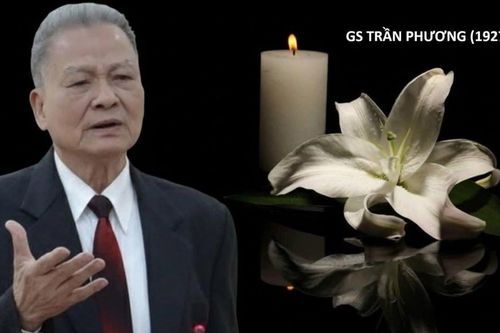 Tiểu sử GS. Trần Phương