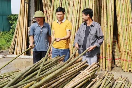 Bắc Ninh: Giữ lửa nghề tre trúc Xuân Lai