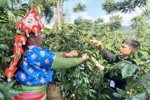 Nông nghiệp gắn với du lịch
