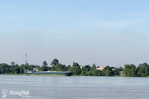 Mực nước vùng hạ lưu sông Đồng Nai ở mức cao