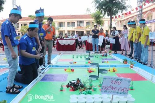 Khắp nơi trong tỉnh ngày 25-10-2025