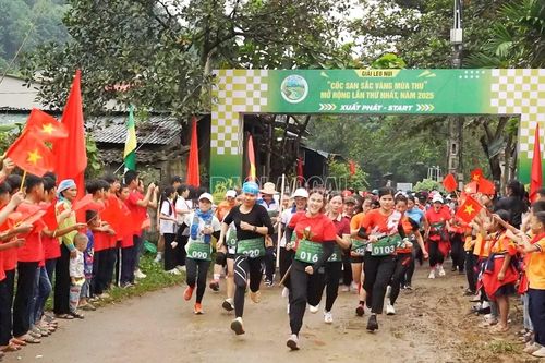 Giải leo núi 'Cốc San sắc vàng mùa thu' lần thứ Nhất năm 2025 thu hút hơn 500 vận động viên