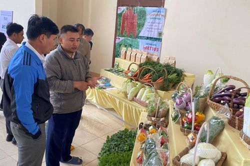 Phát triển hệ thống GIS phục vụ chuyển đổi số