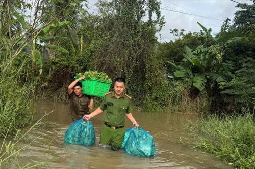 Nước sông Cái dâng nhanh, lực lượng vũ trang kịp thời hỗ trợ người dân thu hoạch rau màu