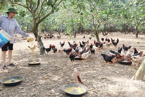 Mường Động tăng tốc để phát triển