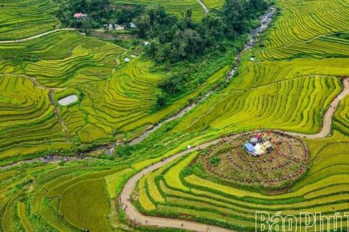 Mùa lúa chín Miền Đồi - điểm hẹn văn hóa Mường