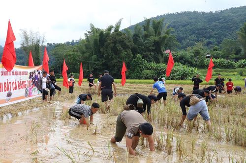 Lễ hội Tết cá người Tày xã Mậu Duệ