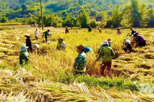 Chuyện làm giàu trên đất nghèo