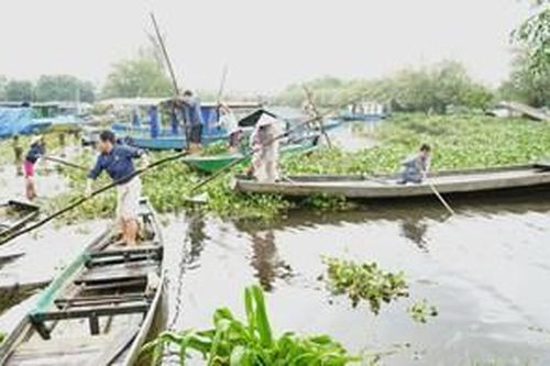 Ngày bình an ở rốn lũ