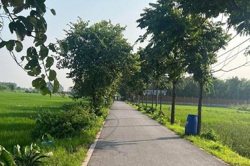 Hà Nội: Yên Lãng đẩy mạnh đầu tư hạ tầng, phát triển nông nghiệp sinh thái bền vững