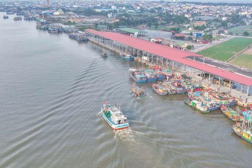 Ninh Bình: Khai thác hiệu quả hạ tầng cảng cá, phát triển kinh tế biển nhờ công nghệ