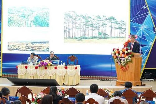Quảng Ngãi ứng dụng các giải pháp chuyển đổi số để phát triển du lịch