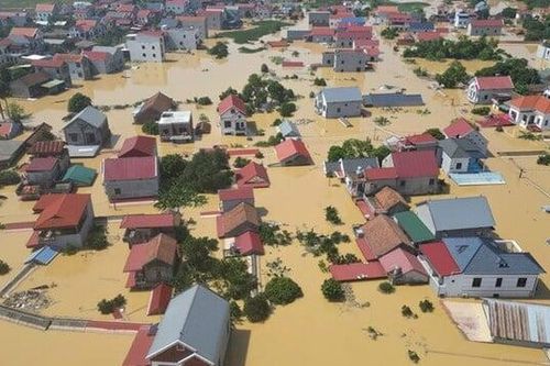 Thực hiện hiệu quả miễn, giảm, gia hạn thuế, phí, tiền thuê đất cho đối tượng thiệt hại bão, lũ