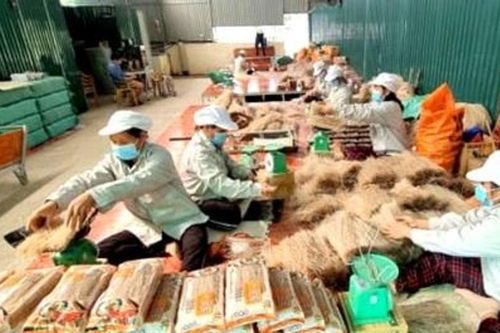 Khuyến công khu vực phía Nam tăng cường đổi mới, phát triển bền vững Đề xuất rút ngắn quy trình xét duyệt, giải ngân vốn khuyến công