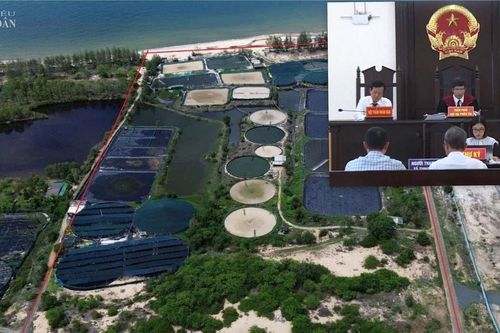 Lâm Đồng: Diễn biến mới nhất vụ bồi thường '0 đồng' về đất tại KCN Sơn Mỹ I