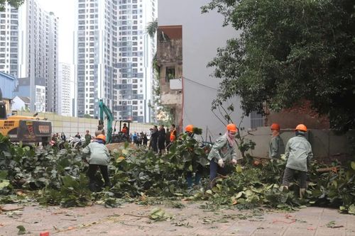 Phường Vĩnh Tuy đẩy nhanh dự án phục vụ lợi ích cộng đồng