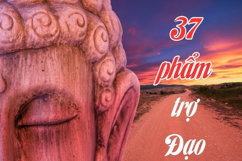 37 Phẩm Trợ Đạo lộ trình hướng đến giác ngộ