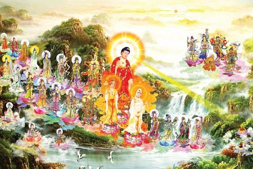 Con đường hoằng hóa qua Pháp môn Tín Nguyện Hạnh