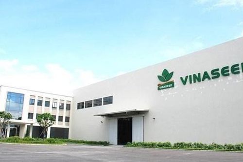 Biên lãi gộp Vinaseed (NSC) rơi xuống mức kỷ lục 19%, lãi ròng quý 3 thấp nhất 5 năm