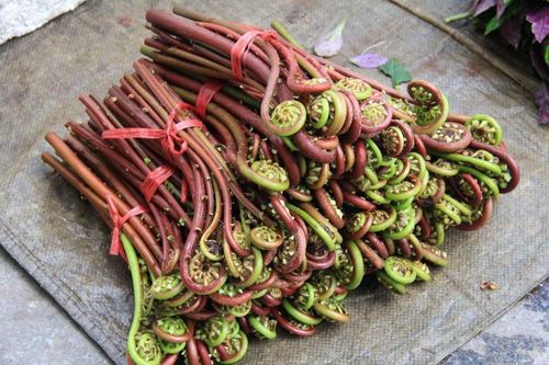 Một loại rau 'đặc sản' chứa độc tố gây ung thư