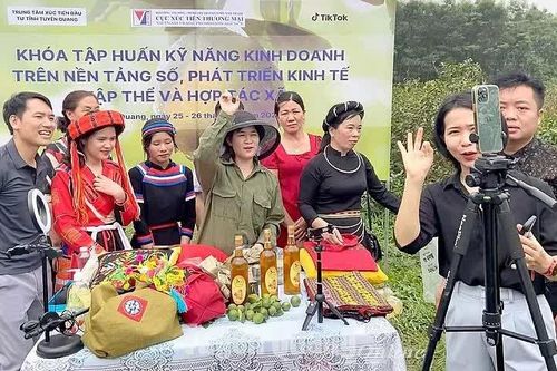 Doanh nghiệp Việt nâng cao năng lực cạnh tranh từ nền tảng số