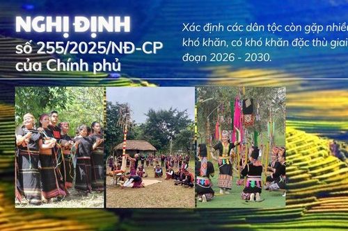 NGHỊ ĐỊNH SỐ 255/2025/NĐ-CP: Định lượng cụ thể về suy giảm dân số (Bài 2)