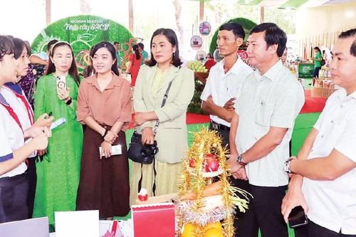 Lan tỏa tinh thần sáng tạo, khởi nghiệp