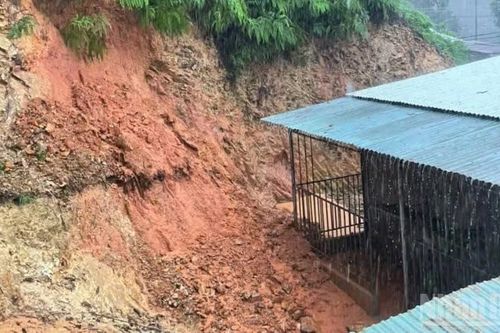 Đà Nẵng di dời khẩn hơn 90 hộ dân ở miền núi khỏi nguy cơ sạt lở